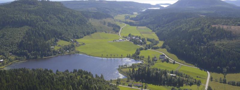 Regenerative land use offers a transformative role for nature in the built environment, according to Metsä.