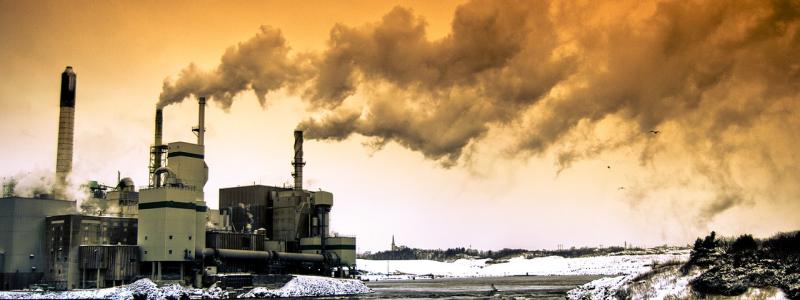 Pulp mill in Saint John. Photo: Sean McGrath from Quispamsis/Wikimedia Commons
