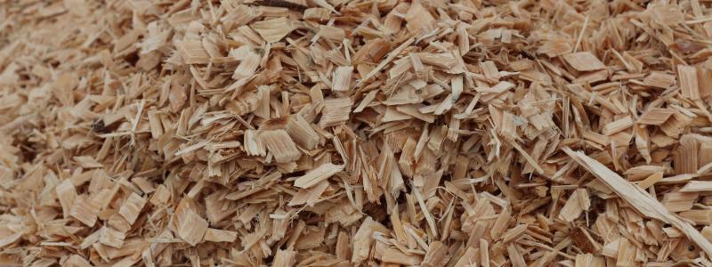 Company’s main businesses include wood chip procurement and bioethanol production.