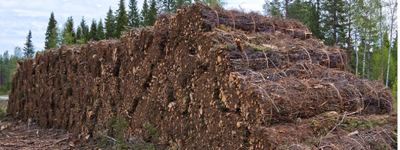 Demuth is ä Brazilian company specializing in wood handling solutions for the pulp industry. Photo: Valmet