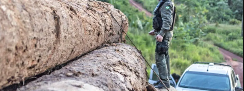 Environmental agents are analysing satellite imagery and conducting on-site inspections to identify the flow of illegal timber. (Photo: IBAMA via Wikimedia Commons