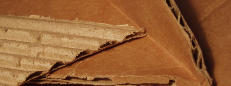 Photo: Richard Wheeler/Wikimedia Commons