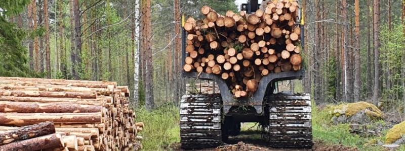 Forestry operations in Finland, illustrative image. Photo: Metsätyö