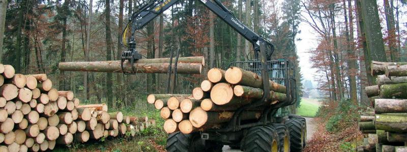 Finland’s forestry contracting industry has become increasingly concentrated in recent years. Larger contractors continue to expand while smaller machine operators face mounting pressure from rising costs, expensive equipment investments and tougher efficiency demands from the forest industry. Foto: Symbol image, credit: Walwissen