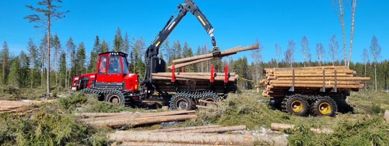 Stora Enso plans to place its extensive forest assets into a new company expected to be spun off from the group in 2027.  Foto: Stora Enso