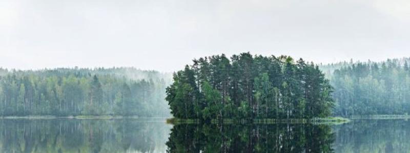 Stora Enso commits to reach net-zero carbon emissions by 2040 by becoming a signatory of The Climate Pledge. Photo: Stora Enso