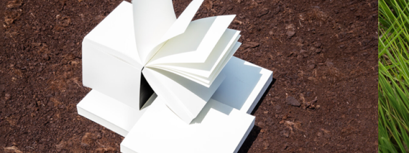 photo Arctic Paper