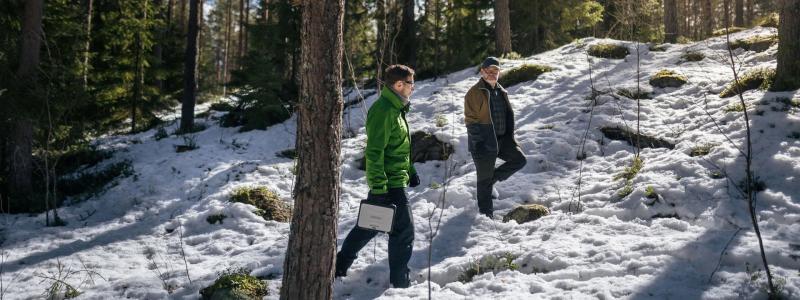 UPM’s own forests will serve as research areas and pilot sites, enabling rapid testing of results in practical forestry. The project begins in spring 2026 and will run for four years. Photo: UPM.