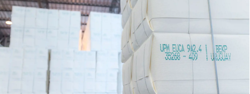 Photo: UPM