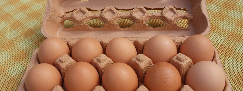 Molded fiber is the most common material for egg cartons due to its sustainability, low cost, and good cushioning properties. Photo: Wikimedia Commons