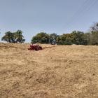 Sugarcane bagasse. Photo: Salim_Khandoker/Wikimedia Commons