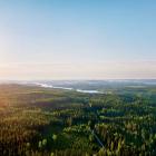 Photo: Alexi Koskinen/Metsä Board