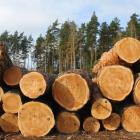 The German timber industry remains a significant employer, particularly in regional economies. Symbol image: Creative Commons Lic. (Pixabay)