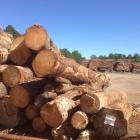 Junnikkala's sawmill operations will be fully incorporated into Stora Enso's Wood Products division and the wood procurement activities will be integrated into the Forest division.