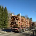 Stora Enso intends to create Europe's largest listed pure play forest company, comprising over 1.2 million hectares of forest land in Sweden with a fair value of approximately EUR 5.7 billion as of 30 September 2025.