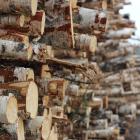 Weyerhaeuser's THRIVE program is a key pillar of the company's broader 3 by 30 Sustainability Ambition.