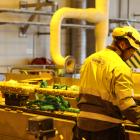 Photo: Simon Matthis