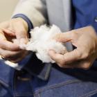 Kuura textile fibre. Photo: Metsä Group