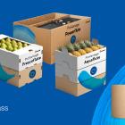 Made from 100% or predominantly fresh fibres, ProVantage Powerflute®, Frescoflute and Aquaflute deliver high strength, dimensional stability and humidity resistance to protect goods across complex supply chains. Photo: Mondi