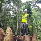 Janne Näräkkä, during a visit to Brazil, where he attended an FSC board meeting in São Paulo and later travelled through rainforest areas in the western part of the country. Photo: Metsä Group.