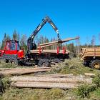 Stora Enso plans to place its extensive forest assets into a new company expected to be spun off from the group in 2027.  Foto: Stora Enso