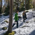 UPM’s own forests will serve as research areas and pilot sites, enabling rapid testing of results in practical forestry. The project begins in spring 2026 and will run for four years. Photo: UPM.