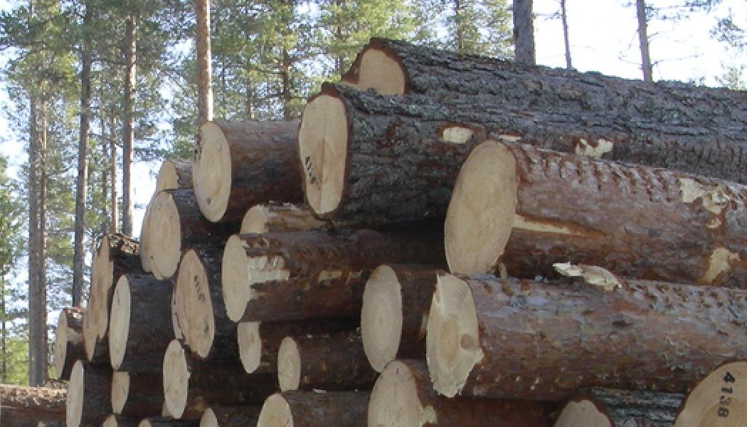 Sawlog and pulpwood prices in Sweden increased in Q2 2022