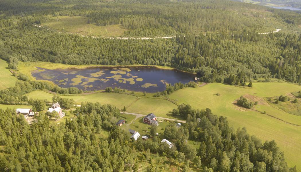 4evergreen is a cross-industry alliance perfecting the circularity of fibre-based packaging to contribute to a climate-neutral and sustainable society. 