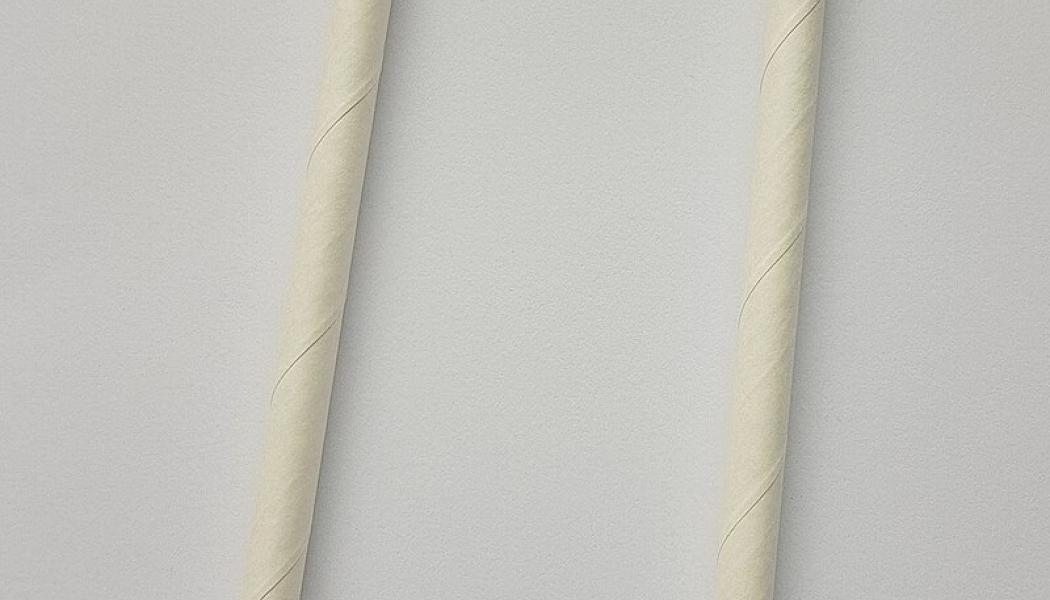 Paper straws. Photo: Asurnipal/Wikimedia Commons