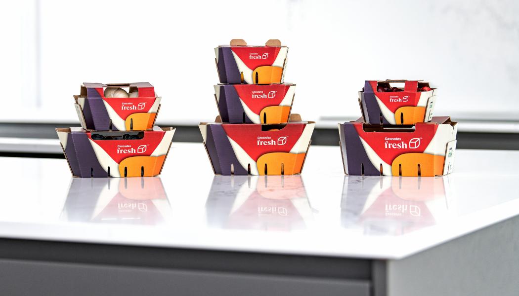 Cascades will offer more sustainable alternatives for hard-to-recycle packaging with a brand new line of produce baskets with flaps. Photo: CNW Group/Cascades Inc.
