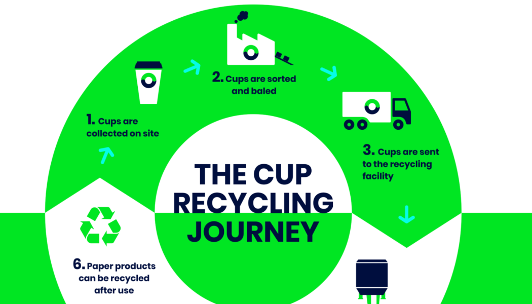 The Cup Collective 