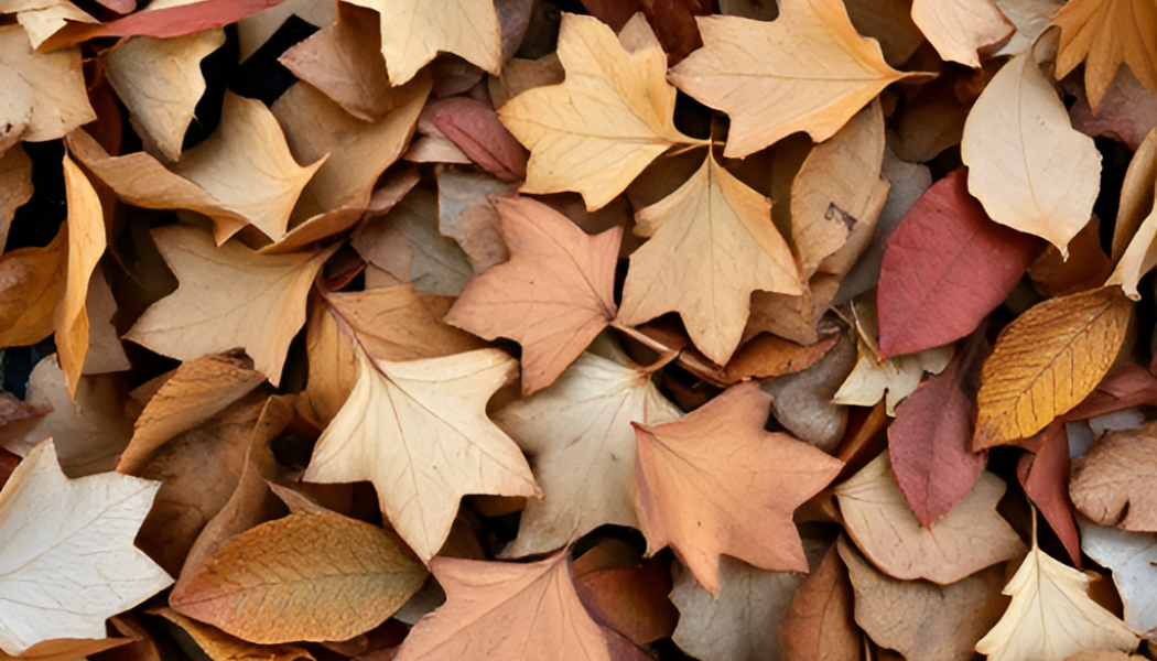 “It’s so obvious that paper can be made from leaves, as the leaf is part of the tree, the main material for papermaking”, Releaf Paper says. 