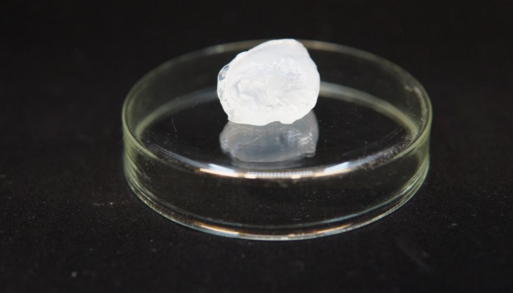 FineCell aims to have the design of its demo plant ready for investment decision by the end of 2024. The company plans to have larger-scale test production underway during 2025, with full commercial production commencing in 2027. Photo: Metsä 