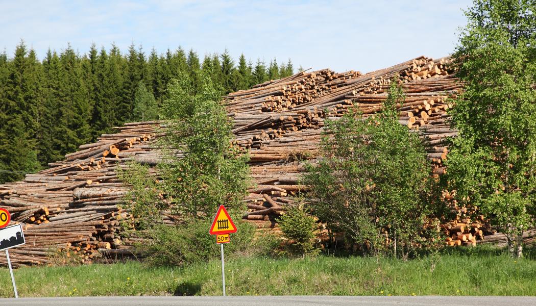 The US Lumber Coalition is an alliance of large and small softwood lumber producers from around the US.