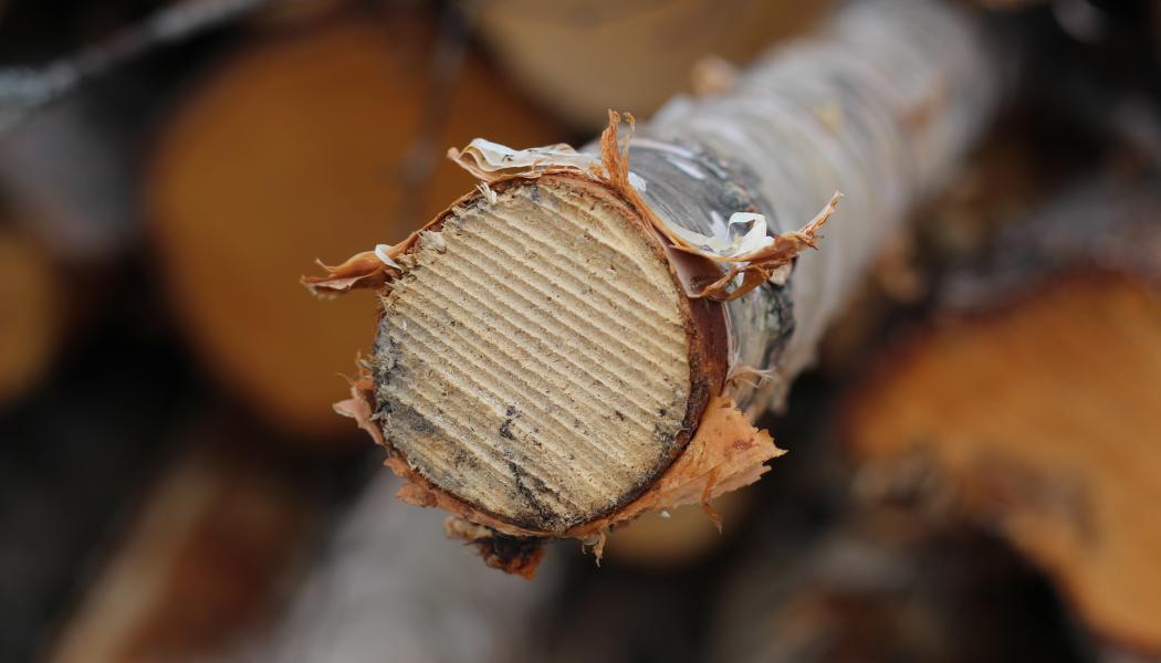 Within the framework of the partnership, cooperation will be developed in the following research areas in particular: regenerative forestry and land use as a way of working that improves the state of nature; chemical analytics in the research of wood-based processes and products; and strategies and business models that support the sustainability transition of the forest sector.