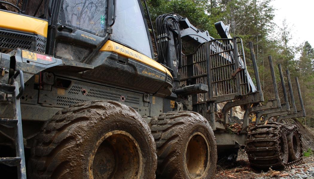 Heavy forestry machinery in operation. File photo. Photo: Creative Commons Lic. Credit: gwizuk