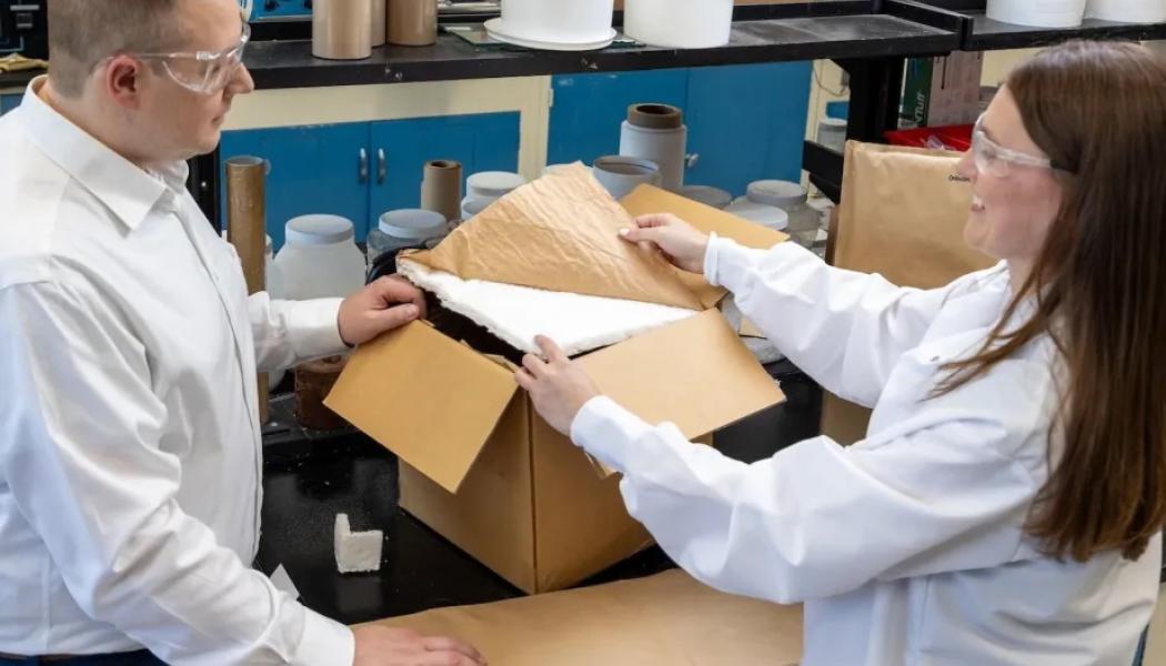 Henkel’s project with VTT aims to develop a lightweight, formable, and recyclable foam material based on wood fibres. Photo: Henkel.