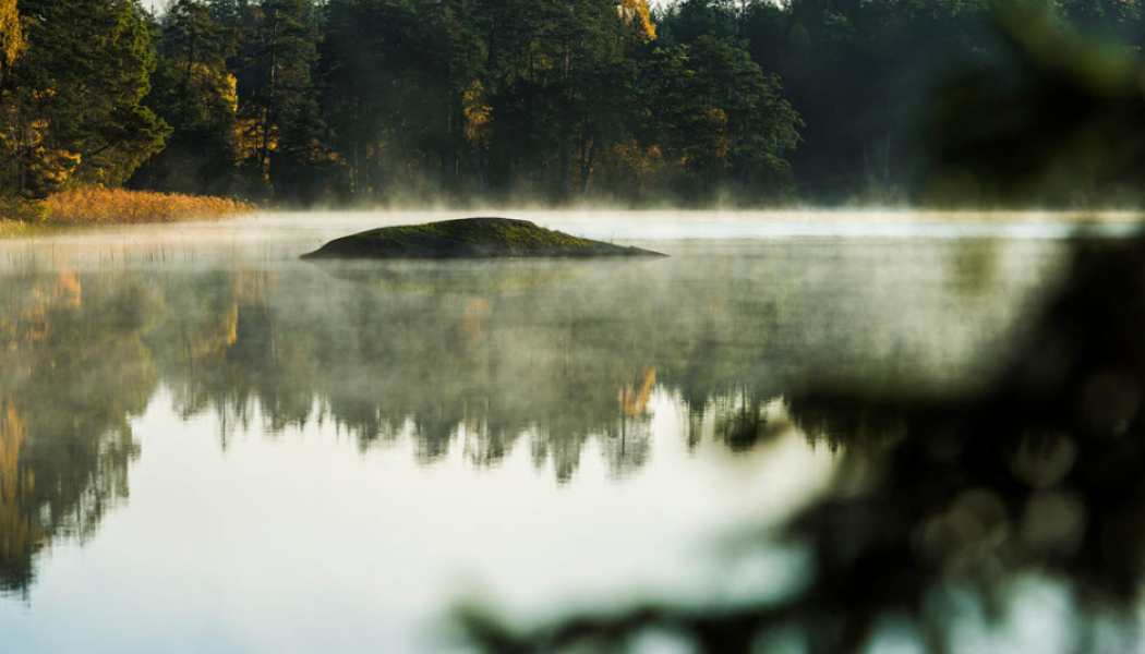 Photo: Holmen