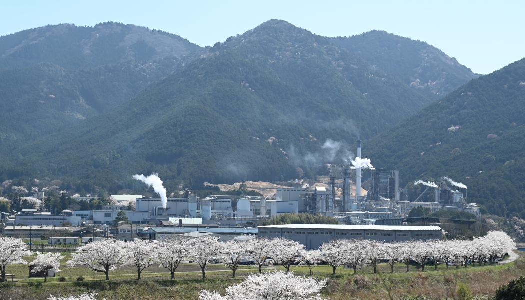 Photo: Hyogo Pulp Industries