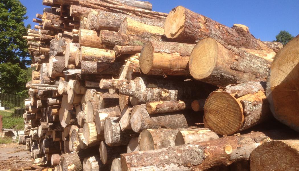Strong U.S. trade law enforcement measures coupled with the appropriate application of Section 232 tariff measures have resulted in reducing Canada's softwood lumber market share in the U.S.