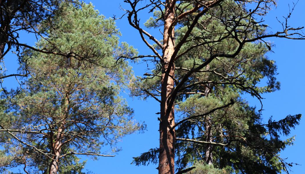 The total value of the transaction is over EUR 27 million, with the combined areas covering approximately 1,400 hectares.