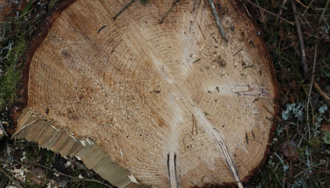 The association will debut the new name and unveil its full logo and brand identity on Wednesday evening, March 25, 2026, during the Annual Leadership Conference. 