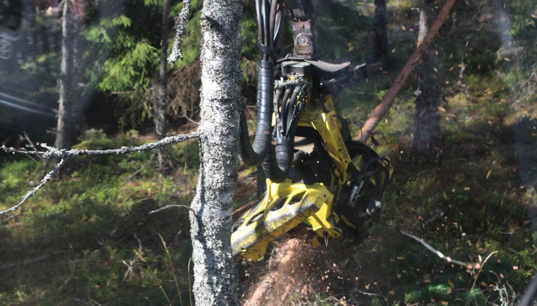 The enterprise value of EUR 900 million is in line with the accounting fair value of the divested forest assets. The proceeds from the divestment are expected to reduce Stora Enso’s net debt by EUR 790 million.