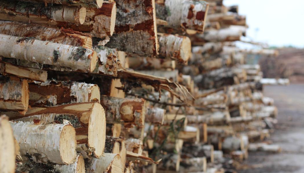 Weyerhaeuser's THRIVE program is a key pillar of the company's broader 3 by 30 Sustainability Ambition.