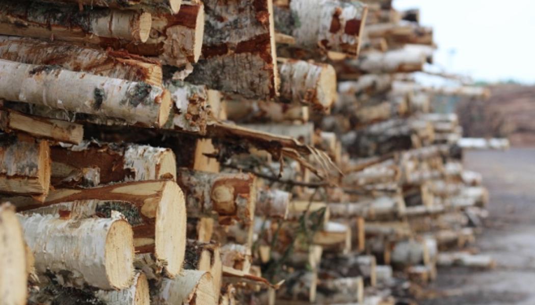 On 3 March 2025, Metsä Group announced the divestment of its wood supply business in Latvia, which at the time still required approval by the Latvian Competition Authority. 