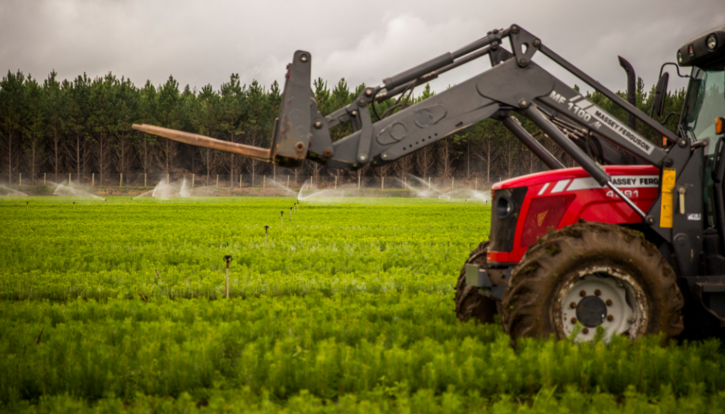 The acquisition makes gains for the company's target to be self-sufficient in wood, offers operational synergies, and generates value for Klabin. Photo: Klabin
