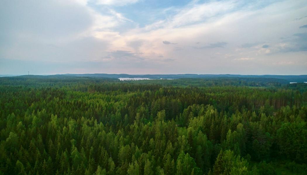 Photo: Metsä Board