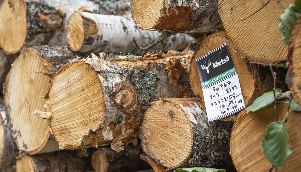 Photo: Metsä Group