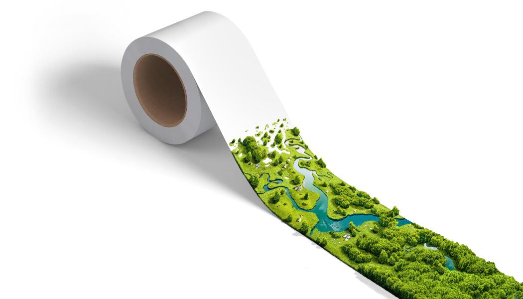 The use of certified paper helps to ensure that the wood utilised for the base papers is sourced from responsibly managed forests. Photo: Mondi