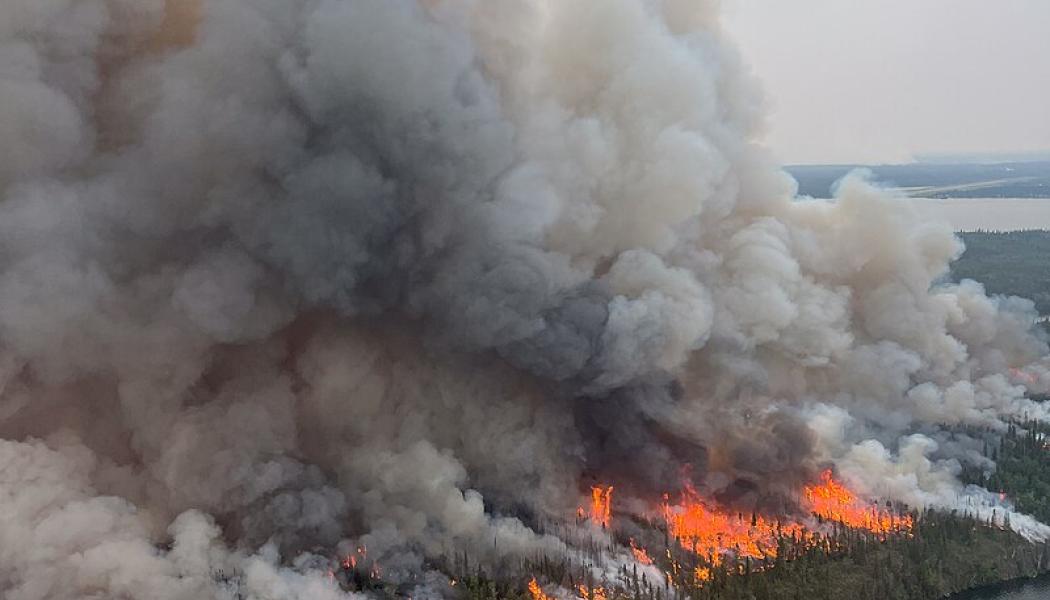 Photo: National Interagency Fire Center/Wikimedia Commons